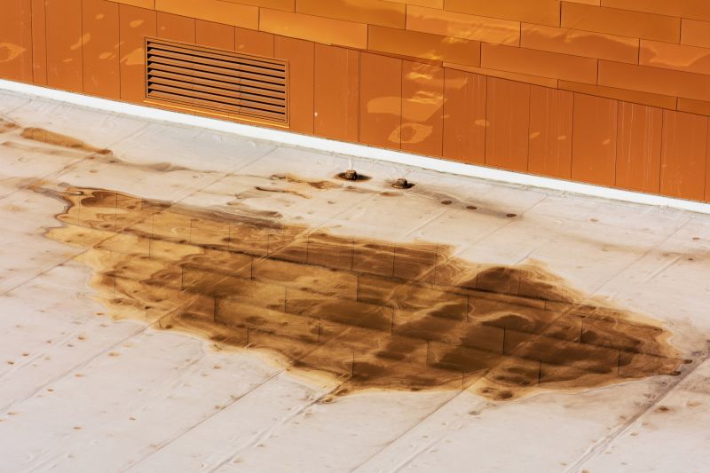 Rubber Roof Leak Repair